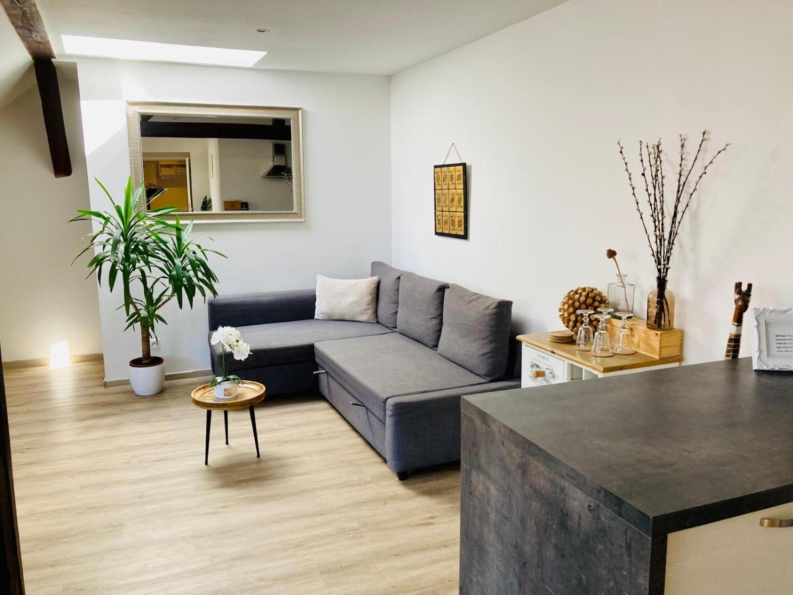 Vip Apartment In Old Town With Free Parking Pozsony Kültér fotó